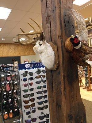 Jackalope... I knew they were real! Haha!