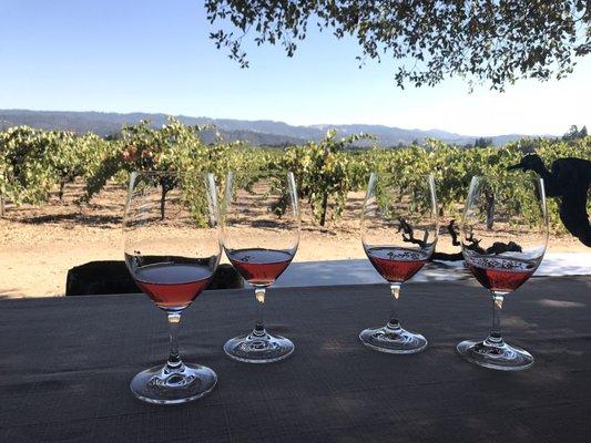 A beautiful and tasty rose welcome in the backyard at Chase Cellars.