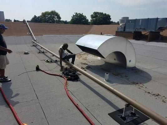 Cary grove High school cleaning project