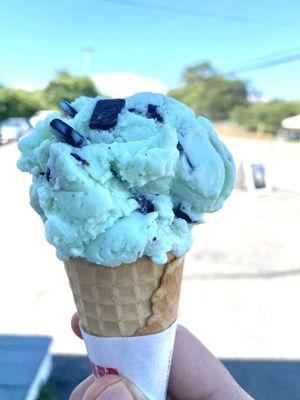 Frozen yogurt mint chocolate chip