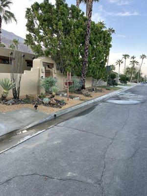 Drought tolerant landscape!!