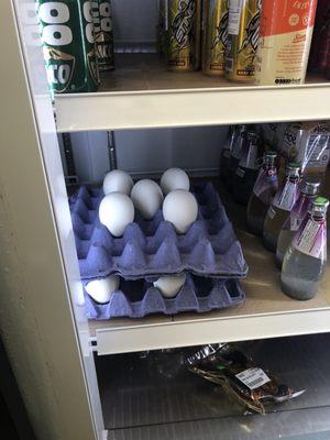 Goose eggs ($12.00 each......)