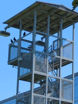 The observation tower. Looks like the Crows are waiting to watch practice