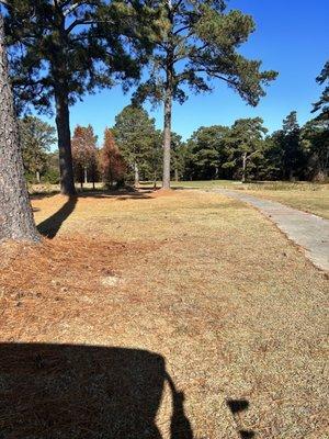 The Links at Mulberry Hill