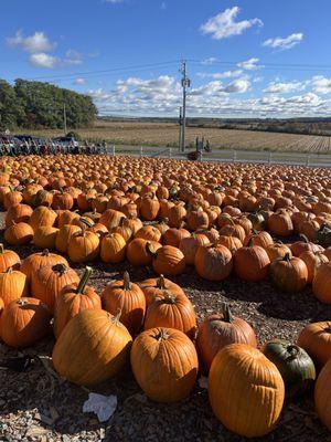 Pumpkins