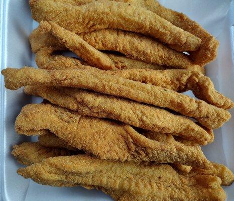 12 pcs fish fix