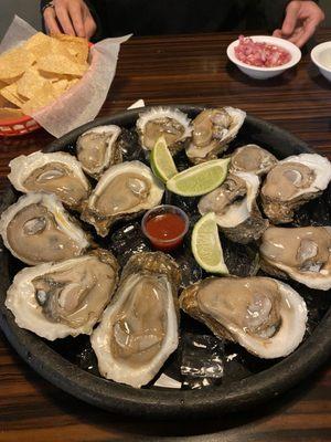 A dozen oysters