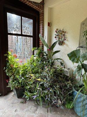 Loooove the indoor plants they have in the atrium! So cozy and beautiful