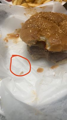 A short, curly black strand of hair I pulled out of my burger. My hair is long and bright red.