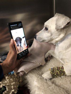 Love the photo of them showing her a pic of her brother.