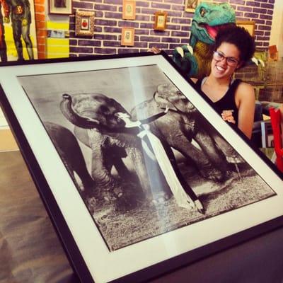 Thank you tim and taylor @ t. Heritage for framing 'dovima with the elephants' - awesome job retaining the 4x5 negative border