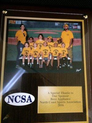 Over this past Spring and Summer Time we sponsored a Tee Ball Team and this is the lovely plaque that they brought us in.