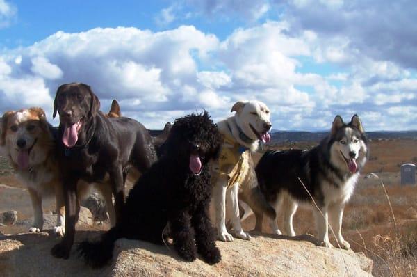 Guests out for a brisk winter walk.