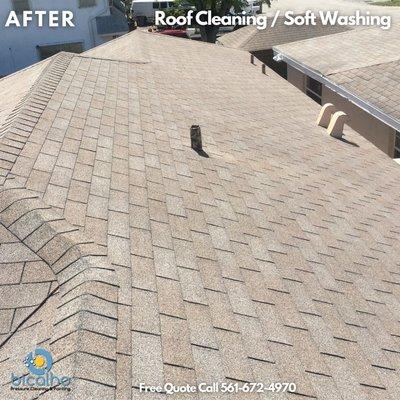 Roof Cleaning and Soft Washing