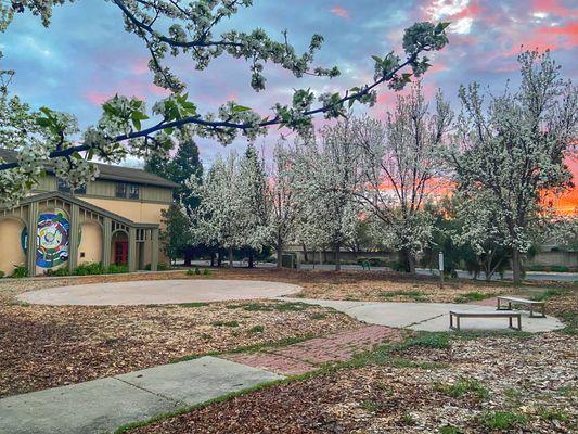 Sunset over labyrinth behind Danville therapy & web design office with fall leaves