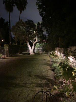 Backyard garden lights