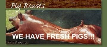 We have fresh pigs. Call 978-374-4795 for pricing.