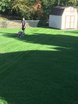 FIRST MOWING AT ABOUT THREE WEEKS.