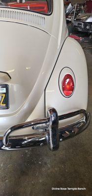 "Bunny"  67 VW Beetle Sedan - Rear ended - rt rear - before repairs