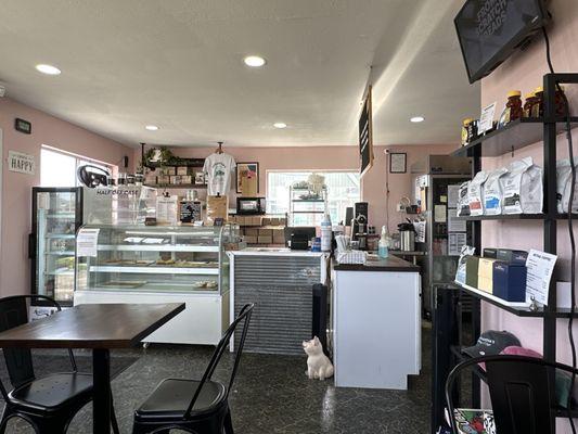 Grab  and Go cooler, bakery case, counter, and coffee by the bag.