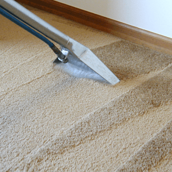 Steam cleaning carpet.