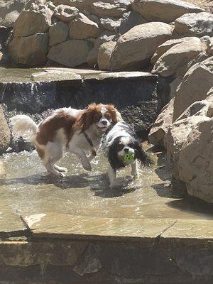 The girls enjoying the waterfall!