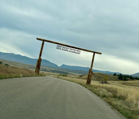 Big Horn Stables entry.