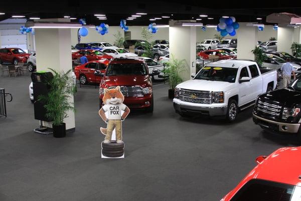 Over 50 models inside the showroom