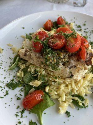 Special of the night-Cod with pesto and spinach and tomatoes over orzo