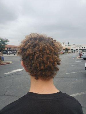 Before - back of head