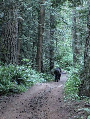 Bridle Trails State Park