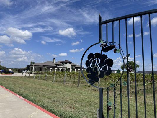 Beautiful gate, grapevines, and building