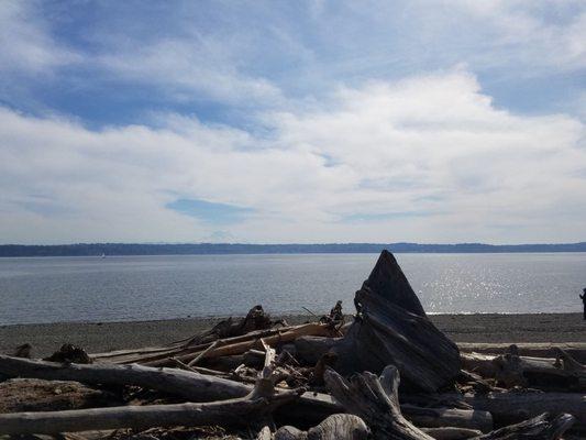 Shore(faint view of Mt Rainier)