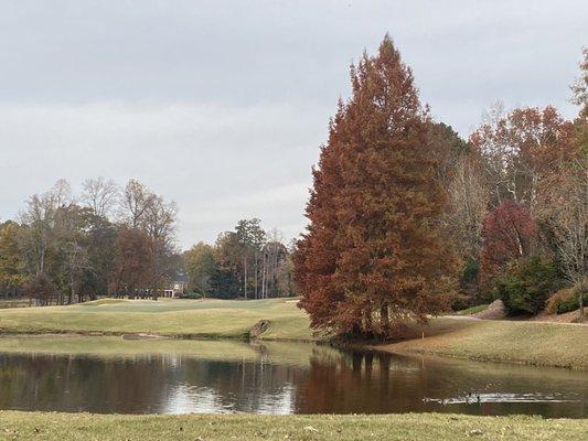 From back tee on 7 in Fall