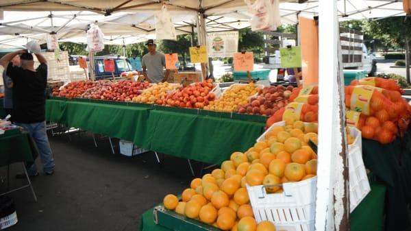 Natomas Farmers Market Fruit variety