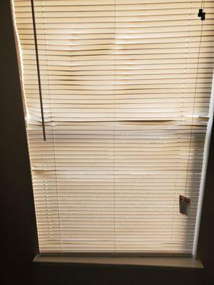 Blinds that have seen better days