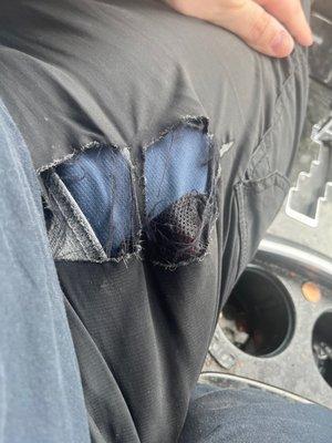 The pants after 3 weeks of "work " I drive a car