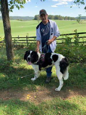 Great Meadow field trip for obedience