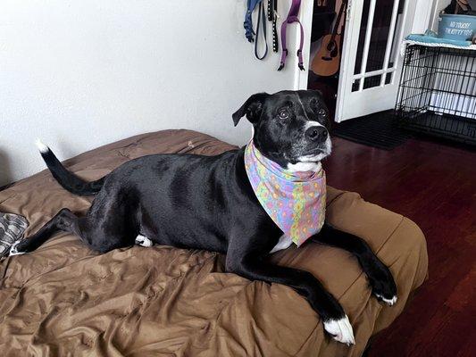 Chelsea after her bath, blowout, nail trim, ear cleanse. She felt sexier than she has in a long time.