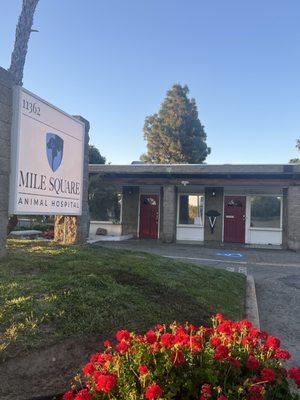 Mile Square Animal Hospital Welcomes You!