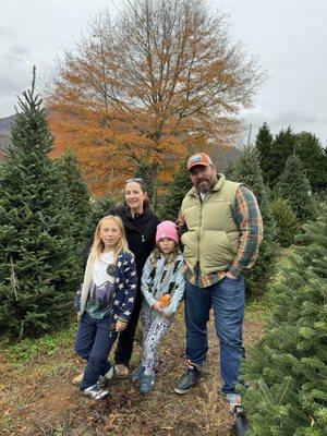 Smoky Mountain Christmas Tree Farm