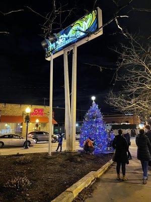 Christmas tree light up.