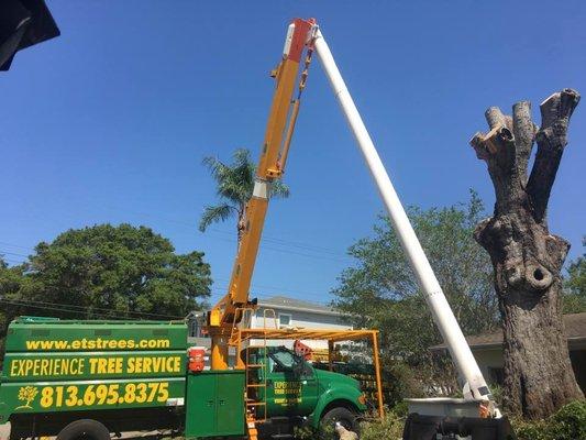 Experience Tree Service