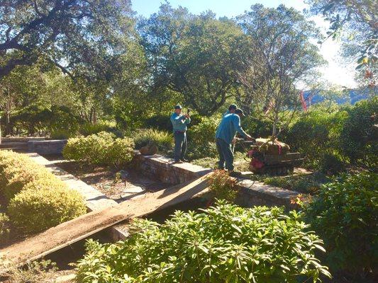 Tree Movers