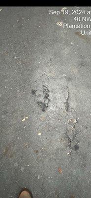 Deteriorating asphalt surface