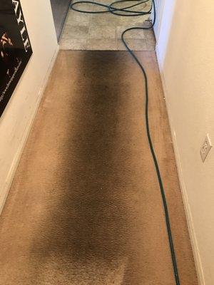 Hallway carpet with heavy soil due to high traffic area.