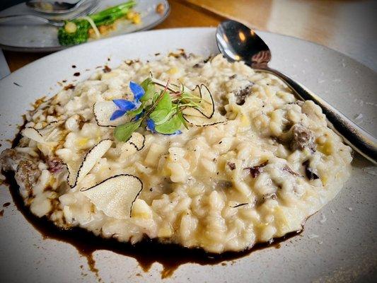 Wild mushroom Risotto