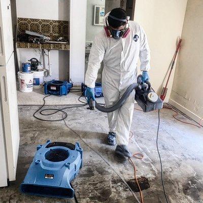 Taking swift action is crucial to mitigate water damage and the formation of mold.