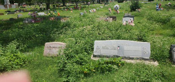 San Fernando Cemetery