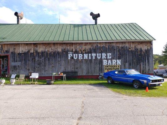 Storefront and Mustang